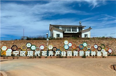 【案例故事】享譽世界的春城花都，世邦助力云南晉寧走出“芬芳”致富路